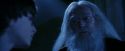 PF-Potterish_08220.jpg