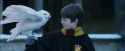 PF-Potterish_08276.jpg