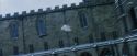 PF-Potterish_08291.jpg