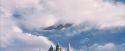 PF-Potterish_08315.jpg