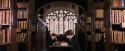 PF-Potterish_08326.jpg