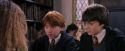PF-Potterish_08365.jpg