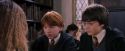 PF-Potterish_08366.jpg