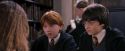 PF-Potterish_08367.jpg