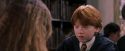 PF-Potterish_08381.jpg