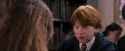 PF-Potterish_08382.jpg