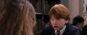PF-Potterish_08383.jpg