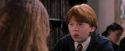 PF-Potterish_08386.jpg