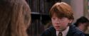 PF-Potterish_08402.jpg