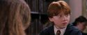 PF-Potterish_08404.jpg