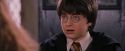 PF-Potterish_08414.jpg