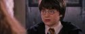 PF-Potterish_08415.jpg