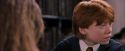 PF-Potterish_08417.jpg