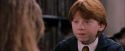 PF-Potterish_08419.jpg