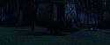 PF-Potterish_08428.jpg