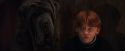 PF-Potterish_08483.jpg