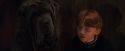 PF-Potterish_08484.jpg