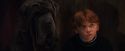 PF-Potterish_08486.jpg