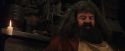 PF-Potterish_08511.jpg