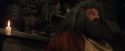 PF-Potterish_08513.jpg