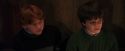 PF-Potterish_08514.jpg