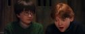 PF-Potterish_08542.jpg