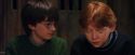 PF-Potterish_08543.jpg