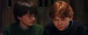 PF-Potterish_08545.jpg