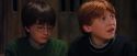 PF-Potterish_08549.jpg