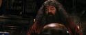 PF-Potterish_08550.jpg