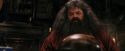 PF-Potterish_08558.jpg