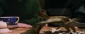 PF-Potterish_08578.jpg
