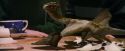 PF-Potterish_08581.jpg
