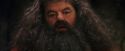 PF-Potterish_08588.jpg