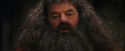 PF-Potterish_08589.jpg