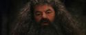 PF-Potterish_08590.jpg