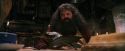 PF-Potterish_08605.jpg