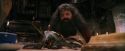 PF-Potterish_08606.jpg