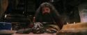 PF-Potterish_08607.jpg