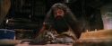 PF-Potterish_08610.jpg