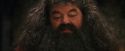 PF-Potterish_08612.jpg