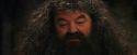 PF-Potterish_08613.jpg