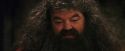 PF-Potterish_08614.jpg