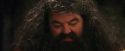 PF-Potterish_08616.jpg
