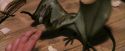 PF-Potterish_08617.jpg