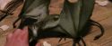 PF-Potterish_08618.jpg