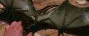 PF-Potterish_08619.jpg