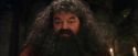 PF-Potterish_08624.jpg
