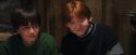 PF-Potterish_08625.jpg