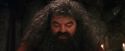 PF-Potterish_08628.jpg